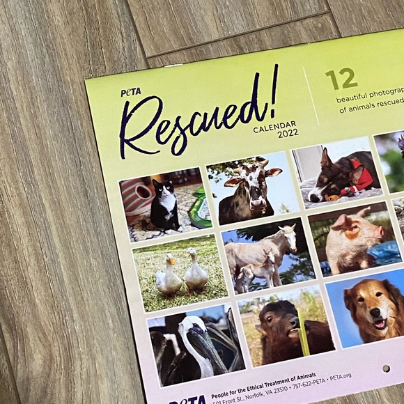 Peta Rescued | Office | Peta Rescued 222 6 Month Calendar | Poshmark